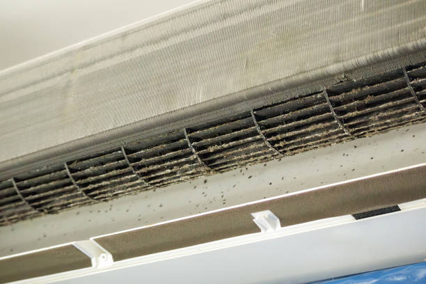 Air Quality Test in Reed Creek, GA